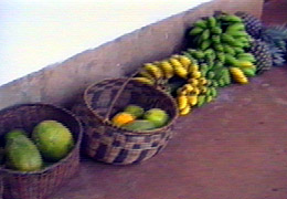 FRUTOS TROPICALES