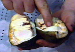 ..LO  ABRIMOS Y VEMOS OCHO GAJOS......