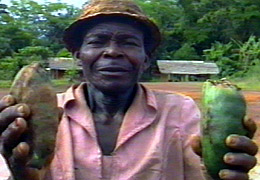 ESTE HOMBRE NOS ACERCA UN FRUTO DE COLA...