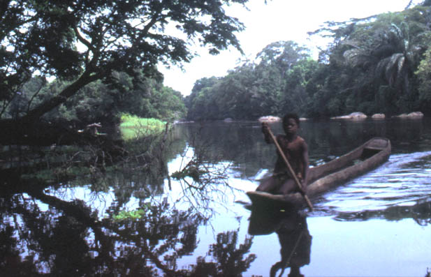 Canoa por el Nepoko, cerca de Legu