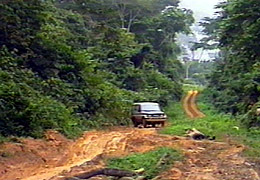 ESTO SE CONSIDERA UNA BUENA CARRETERA