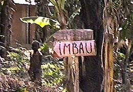 A IMBAU